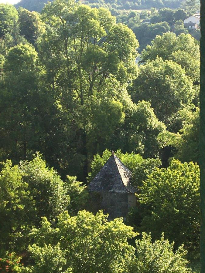 La Maison Sur La Riviere Vabre Εξωτερικό φωτογραφία