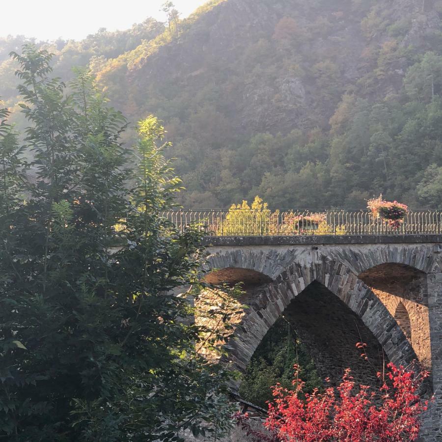 La Maison Sur La Riviere Vabre Εξωτερικό φωτογραφία